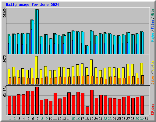 Daily usage for June 2024