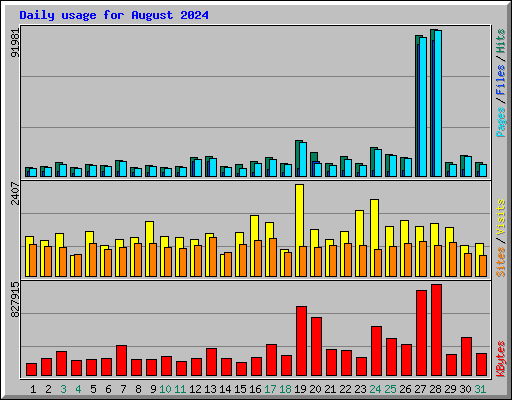 Daily usage for August 2024