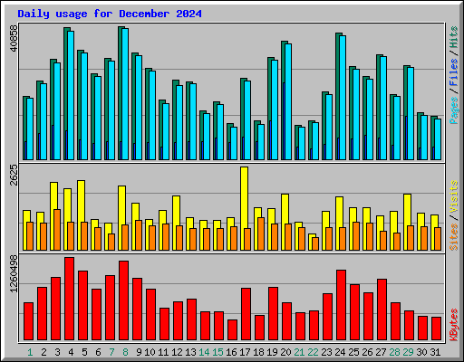 Daily usage for December 2024