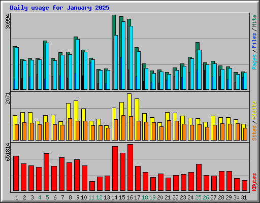 Daily usage for January 2025