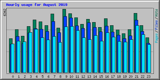Hourly usage for August 2019