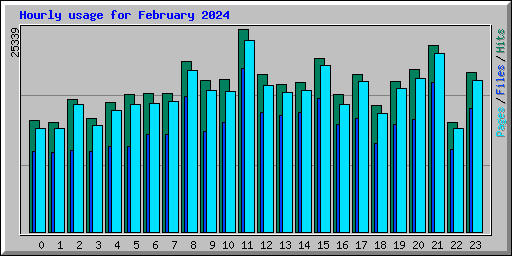 Hourly usage for February 2024