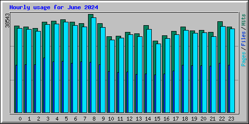 Hourly usage for June 2024