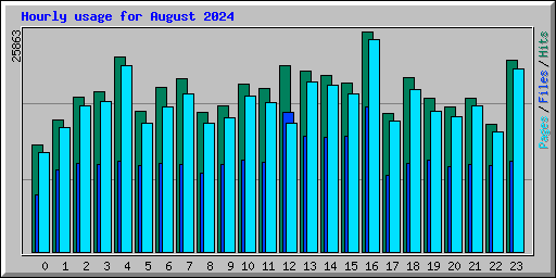 Hourly usage for August 2024