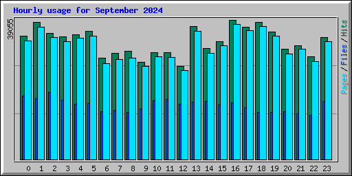 Hourly usage for September 2024
