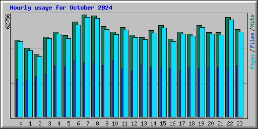 Hourly usage for October 2024