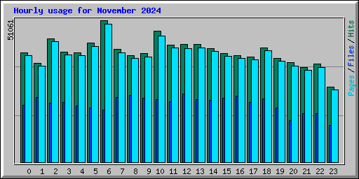 Hourly usage for November 2024