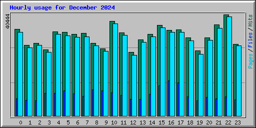 Hourly usage for December 2024