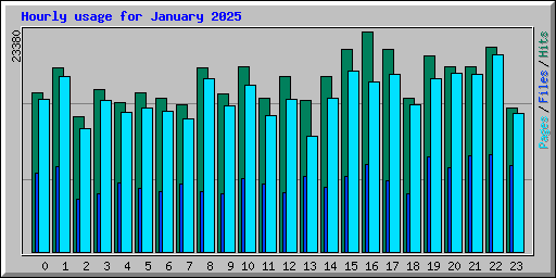 Hourly usage for January 2025