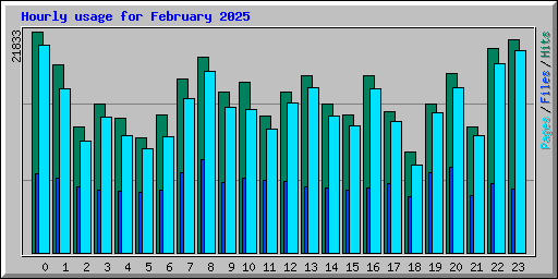 Hourly usage for February 2025