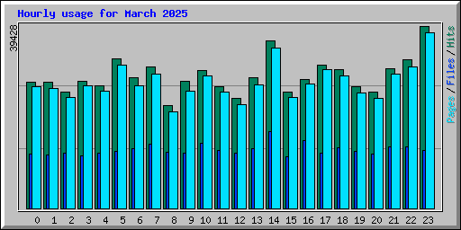 Hourly usage for March 2025