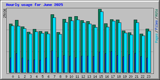 Hourly usage for June 2025