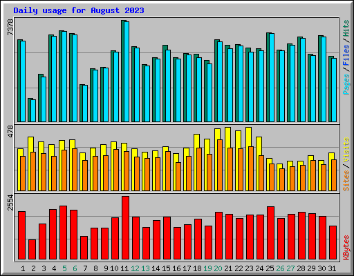 Daily usage for August 2023