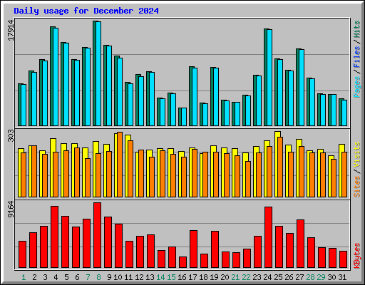 Daily usage for December 2024