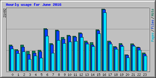 Hourly usage for June 2016