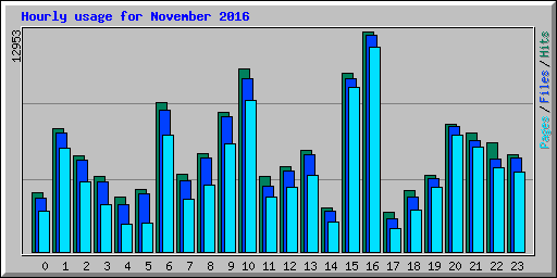 Hourly usage for November 2016