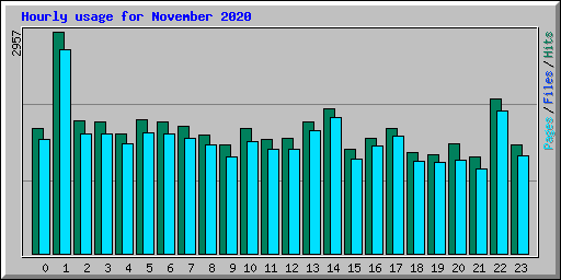Hourly usage for November 2020