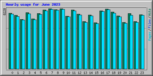 Hourly usage for June 2023