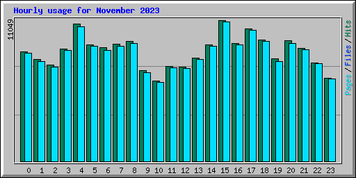 Hourly usage for November 2023