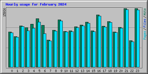 Hourly usage for February 2024