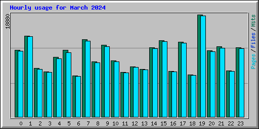 Hourly usage for March 2024