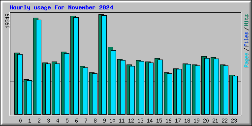 Hourly usage for November 2024