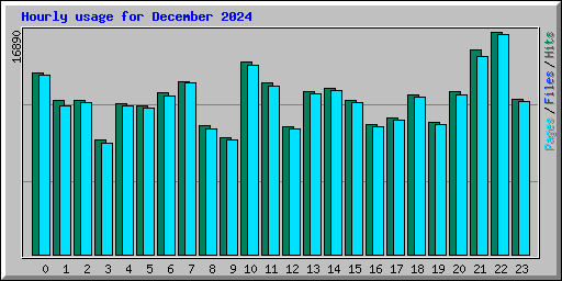 Hourly usage for December 2024