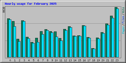 Hourly usage for February 2025
