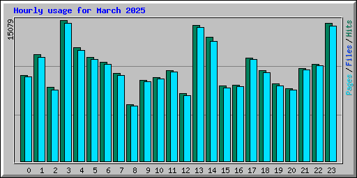 Hourly usage for March 2025